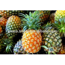 fresh sweet pineapples / canned pineapple